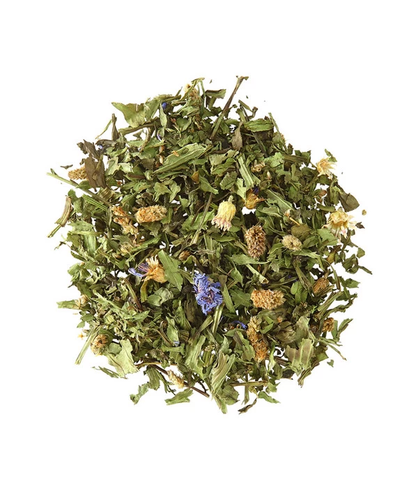 Dehner Spitzwegerich, 125 G 4 Dehner Spitzwegerich, 125 G – Bild 2