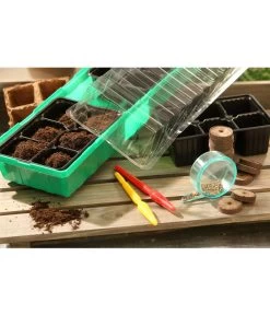 Dehner Zimmergewächshaus Frans, 54 X 15 X 12 Cm 9 Dehner Zimmergewächshaus Frans, 54 X 15 X 12 Cm -Garten Im Freien 207456 BildM 002 RombergZimmergewaechshausFransFensterbGewH54X15x12