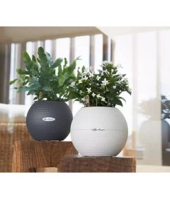 LECHUZA® PURO Color, All-in-One-Set, Rund, Ca. Ø20 Cm -Garten Im Freien 2418598 WE MO 003 LechuzaPuroColor20schiefergrau