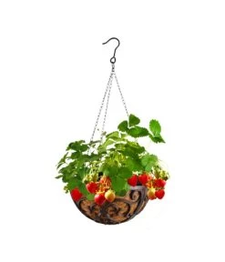 Dehner Gusseisen-Hängeampel Katalonien Mit Kokoseinlage, Rund, Rost, Ca. Ø30/H15 Cm -Garten Im Freien 2745461 WE MO 001 GusseisenHaengeampel30cm