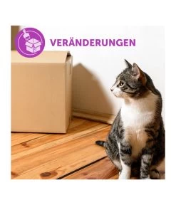 FELIWAY® Classic Nachfüllflakon, 3er Set 20 FELIWAY® Classic Nachfüllflakon, 3er Set -Garten Im Freien 3019957 WE M 003 neuCevaFeliwayClassicStarterSet 1