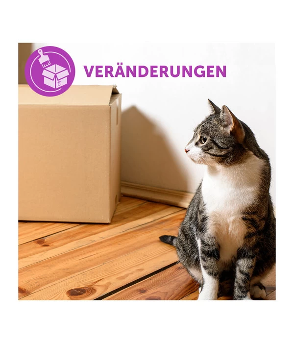 FELIWAY® Classic Verdampfer Start-Set 6 FELIWAY® Classic Verdampfer Start-Set – Bild 4