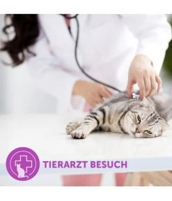 FELIWAY® Classic Verdampfer Start-Set 17 FELIWAY® Classic Verdampfer Start-Set -Garten Im Freien 3019957 WE M 005 CevaFeliwayClassicStarterSet