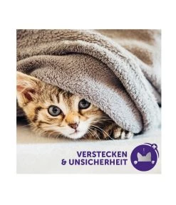 FELIWAY® Classic Nachfüllflakon, 3er Set 21 FELIWAY® Classic Nachfüllflakon, 3er Set -Garten Im Freien 3019957 WE M 005 neuCevaFeliwayClassicStarterSet 1