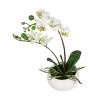 Dehner Kunstpflanze Mini-Orchidee Phalaenopsis, Weiß 2 Dehner Kunstpflanze Mini-Orchidee Phalaenopsis, Weiß -Garten Im Freien 3134897 WE FS 001 DPIPhalaenopsis25cm