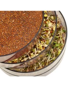 Dehner Sprossenhaus, 4 Schalen -Garten Im Freien 3677101 WE MO 002 DehnerSprossenhausKeimsprossen