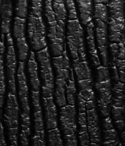 JUWEL® AQUARIUM Rückwand STR -Garten Im Freien 3748035 WE FS 002 JuwelAquariumRueckwandSTR