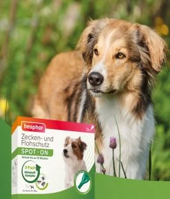 Beaphar Spot On Für Kleine Hunde, 3x1 Ml -Garten Im Freien 3879210 WE DE 004 BeaHZbhZeckenFlohschutzSpotOnKleineHunde