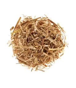 Neue Veröffentlichungen -Garten Im Freien 3940285 BildD 001 PilzmaennchenBioHomePilzzuchtsetAusternpilzPilzbrutAusternpilzSet