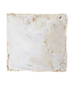 Pilzmännchen Bio Pilzzuchtset Austernpilz 7 Pilzmännchen Bio Pilzzuchtset Austernpilz -Garten Im Freien 3940285 BildD 002 PilzmaennchenBioHomePilzzuchtsetAusternpilzPilzbrutAusternpilzSet