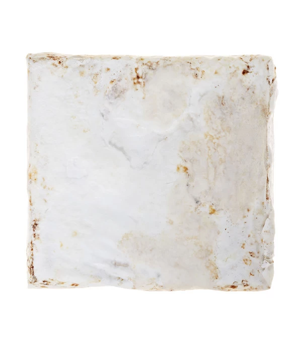 Pilzmännchen Bio Pilzzuchtset Austernpilz 5 Pilzmännchen Bio Pilzzuchtset Austernpilz – Bild 3