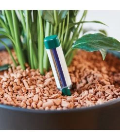 Seramis Gießanzeiger 15 Seramis Gießanzeiger -Garten Im Freien 394684 WE MO 004 SeramisGiessanzeiger 394692