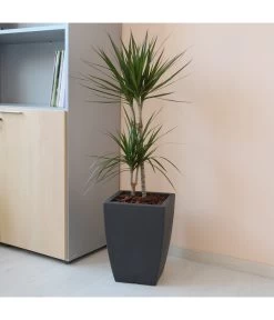 Farmet Kunststoff-Pflanzkübel Hydrus 7 Farmet Kunststoff-Pflanzkübel Hydrus -Garten Im Freien 4110128 WE DE 002 HYDRUSQuadratischerPflanzkuebel29x29x40cmhochDUNKELANTHRAZIT