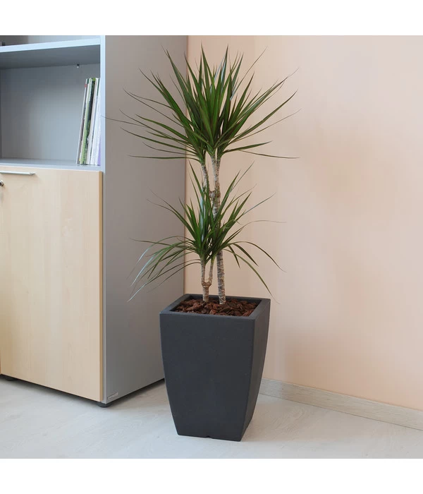 Farmet Kunststoff-Pflanzkübel Hydrus 4 Farmet Kunststoff-Pflanzkübel Hydrus – Bild 2