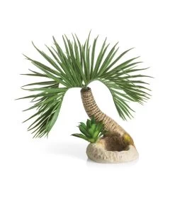 BiOrb® Aquariumdeko Palme Seychellen