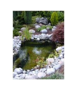 Ubbink Fertigteich Calmus S I, 145 L -Garten Im Freien 456905 WE MO 001 ubbinkGartenreich