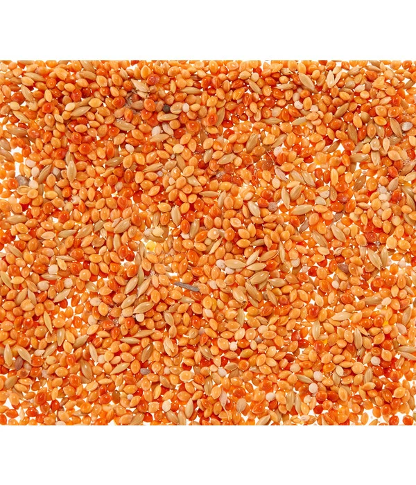 Dehner Leckerbissen Für Sittiche Und Exoten, 20 G 4 Dehner Leckerbissen Für Sittiche Und Exoten, 20 G – Bild 2