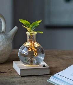 Neue Veröffentlichungen -Garten Im Freien 6125074 WE MO 001 WaterPlantClusiaLED