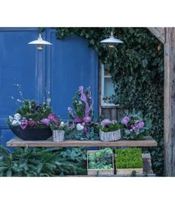 Grabgesteck Unvergessen, Ca. B60/H60/T40 Cm -Garten Im Freien 6462931 WE MO 001 SerieUnvergessenPremiumAllerheiligen2023