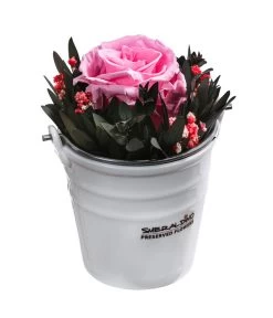 Dehner Arrangement Mit Longlife-Rose Ida, Rosa, Ca. Ø7,5/H15 Cm