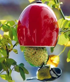 LUXUS-VOGELHAUS Meisenknödelhalter 6er-Set, Rot/grün/blau, Ca. Ø9,5/H9,5 Cm 8 LUXUS-VOGELHAUS Meisenknödelhalter 6er-Set, Rot/grün/blau, Ca. Ø9,5/H9,5 Cm -Garten Im Freien 6689202 WE MO 001 DobarWVDesignMeisenknoedelhalter 6x