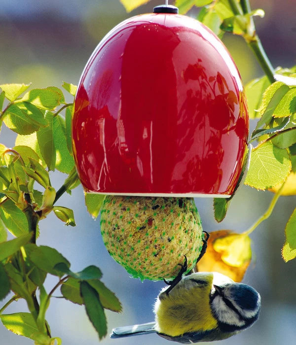 LUXUS-VOGELHAUS Meisenknödelhalter 6er-Set, Rot/grün/blau, Ca. Ø9,5/H9,5 Cm 4 LUXUS-VOGELHAUS Meisenknödelhalter 6er-Set, Rot/grün/blau, Ca. Ø9,5/H9,5 Cm – Bild 2