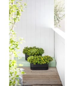 Elho Kunststoff-Topf Greenville, Ca. B20/B18/T49 Cm 11 Elho Kunststoff-Topf Greenville, Ca. B20/B18/T49 Cm -Garten Im Freien 6768964 WE MO 002 ElhoKunststoffTopfGreenville