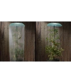 KHW Tomatenhut -Garten Im Freien 6818819 WE DE 001 Tomatenhut 2erSet