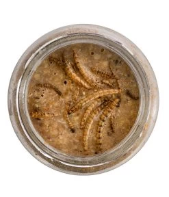 Dehner Natura Erdnussbutter Im Glas, Mehlwürmer, 8 X 340 G -Garten Im Freien 6846935 WE DE 001 NaturaWildvogelErdnussbutterGlas340g