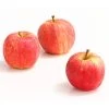 Herbstapfel 'Gala' -Garten Im Freien 7645880 WE DE 005 ApfelGalaDehnerExpressHerzig