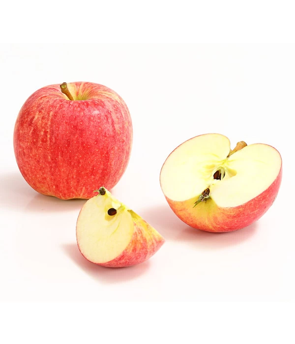 Herbstapfel 'Gala' 4 Herbstapfel 'Gala' – Bild 2