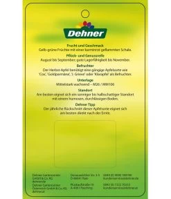 Herbstapfel 'Gravensteiner' -Garten Im Freien 7657398 HerbstapfelGravensteiner Etikett 2