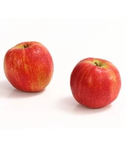 Winterapfel 'Jonagold'