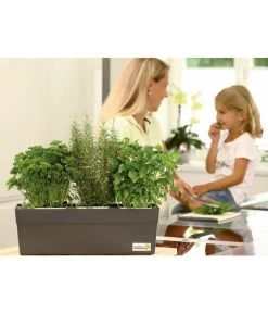 GREENBAR® Ersatzvlies, 3er-Pack -Garten Im Freien 7750482 PR MO 003 GreenbarAnleitungIndoorSeidl
