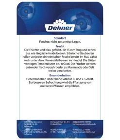 Maibeere -Garten Im Freien 7756448 SibirischeBlaubeerePolina Etikett 2