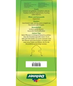 Tafeltraube 'Katharina' -Garten Im Freien 7773716 TafeltraubeKatharina Etikett 2