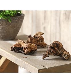 Mopani-Wurzel, 3er-Set -Garten Im Freien 7977507 WE MO 001 MopanieWurzelGroesseS3erSetDehnerExpressHerzig