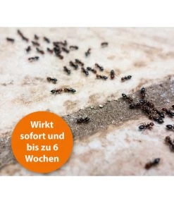 ARDAP® Ungezieferspray, 750 Ml -Garten Im Freien 858191 WE DE 003 ArdapZbhUngezieferspray750ml