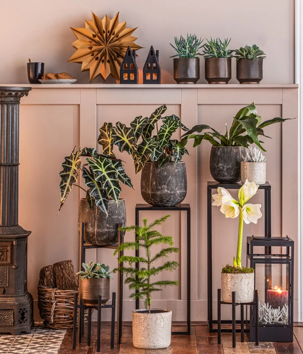 Metall-Pflanzenständer Ascot, Schwarz 5 Metall-Pflanzenständer Ascot, Schwarz – Bild 3