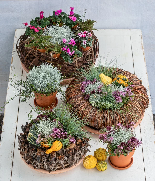 Dehner Kranz Twig, Ca. Ø30 Cm 4 Dehner Kranz Twig, Ca. Ø30 Cm – Bild 2