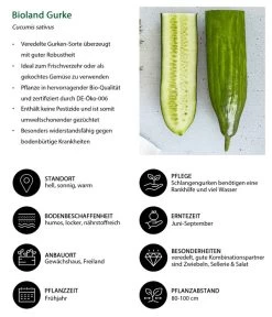Bioland Gurke, Veredelt 13 Bioland Gurke, Veredelt -Garten Im Freien 8830853 WE IG 001 BiolandGurke