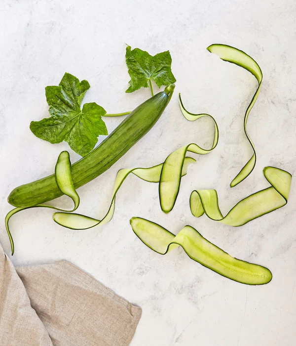 Bioland Gurke, Veredelt 6 Bioland Gurke, Veredelt – Bild 4