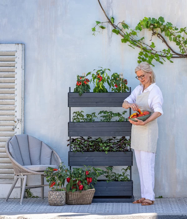 Pick-a-Tom® Cocktailtomate Mit Früchten, Rot 4 Pick-a-Tom® Cocktailtomate Mit Früchten, Rot – Bild 2