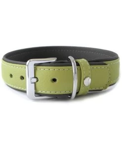 Das Lederband Hundehalsband Style Amsterdam Lime/Lava