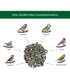 Dehner Natura Wildvogelfutter Sonnenblumenkerne, 5 L -Garten Im Freien WE IG 001 DehnerNaturaWelcherVogelfrisstSonnenblumenkerne 1