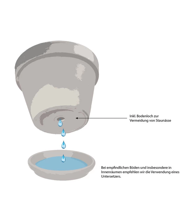 Emsa Kunststoff-Jardinière Landhaus, Oval, 39 X 15 X 19 Cm 4 Emsa Kunststoff-Jardinière Landhaus, Oval, 39 X 15 X 19 Cm – Bild 2