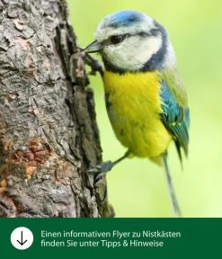 Dehner Natura Nistkasten Blaumeise -Garten Im Freien WE IG FlyergrafikDehnerNaturaNistkaesten
